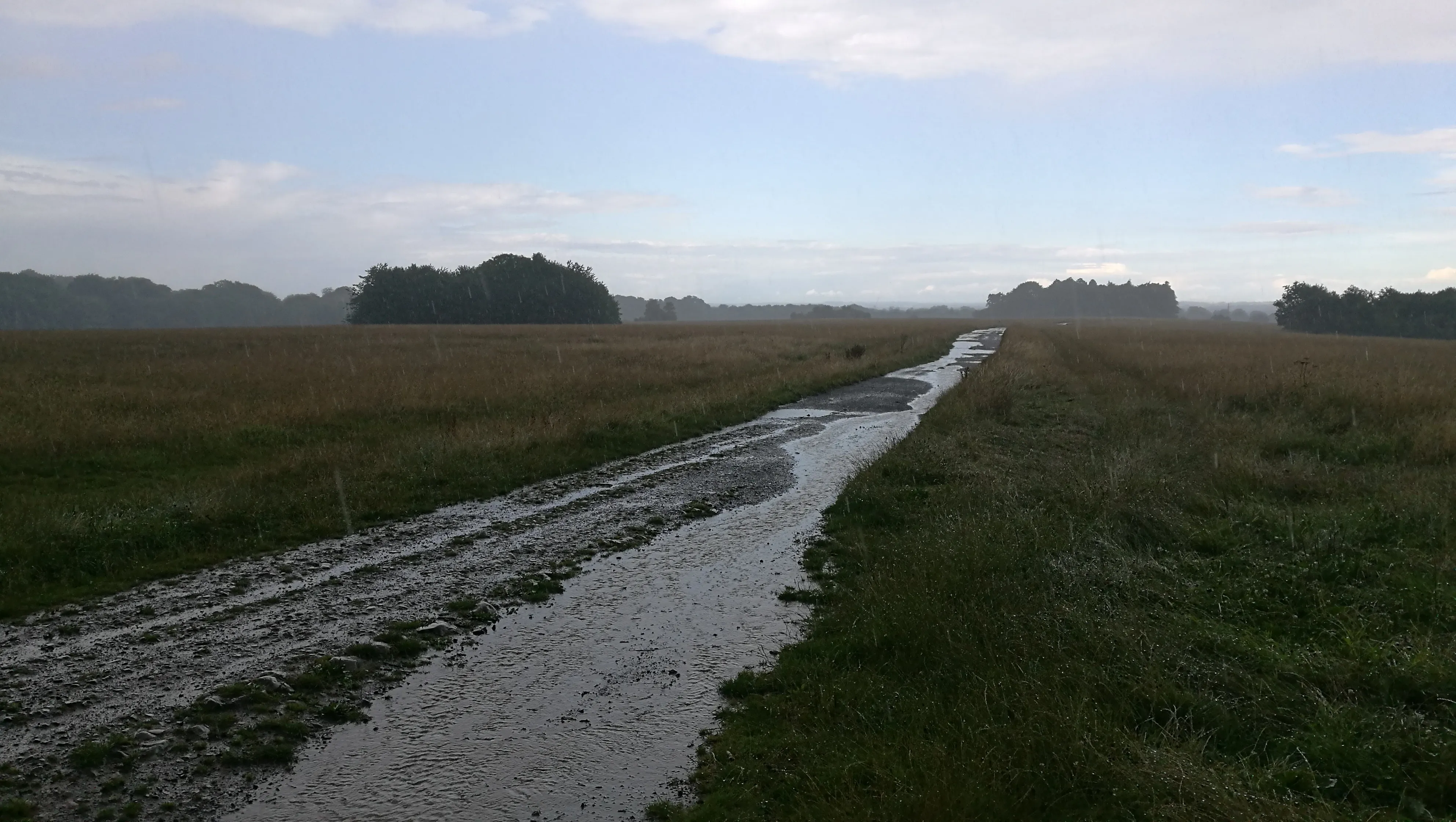 A path across a rainy field