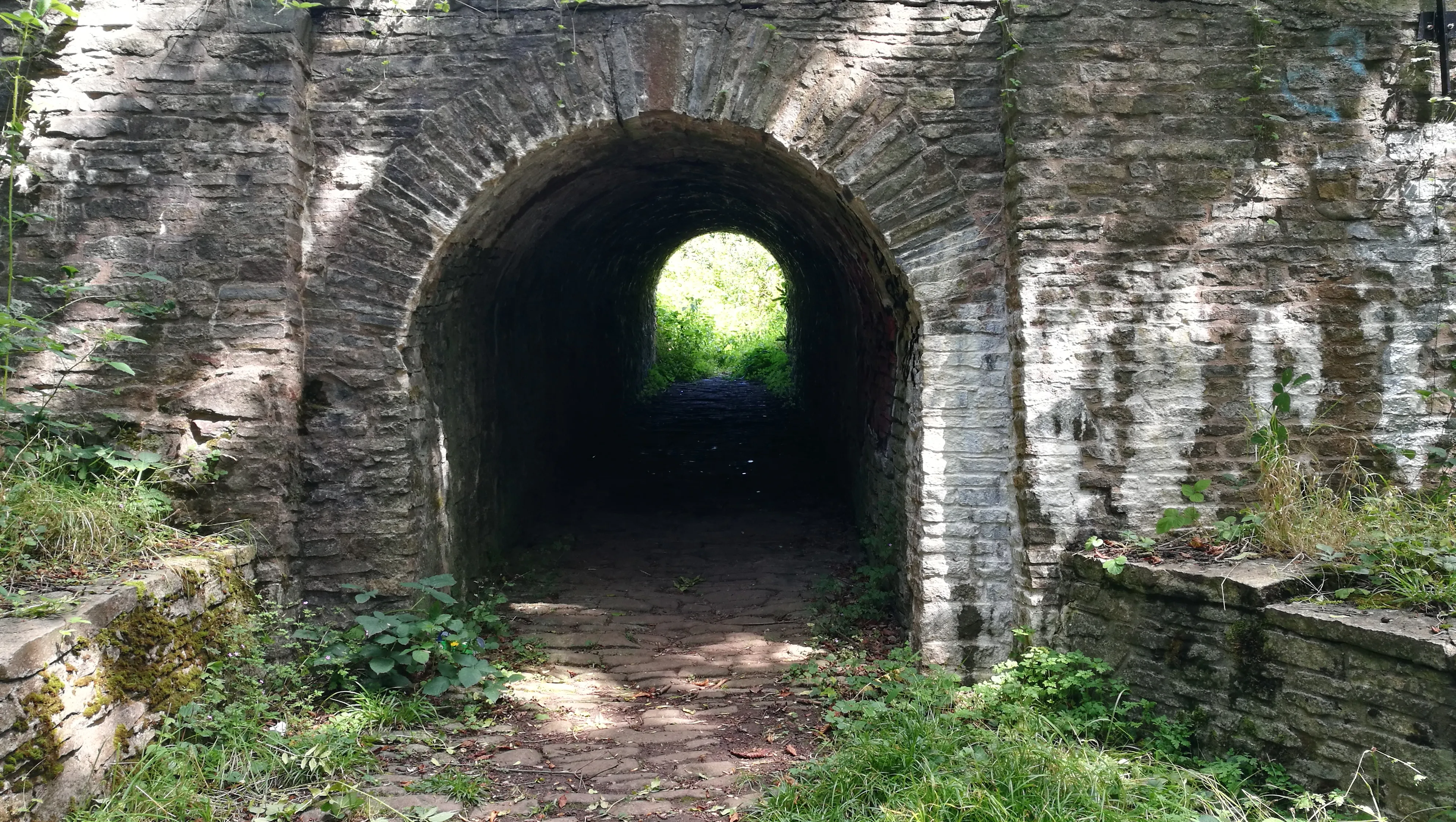 An arched, stone tunnel in a forest